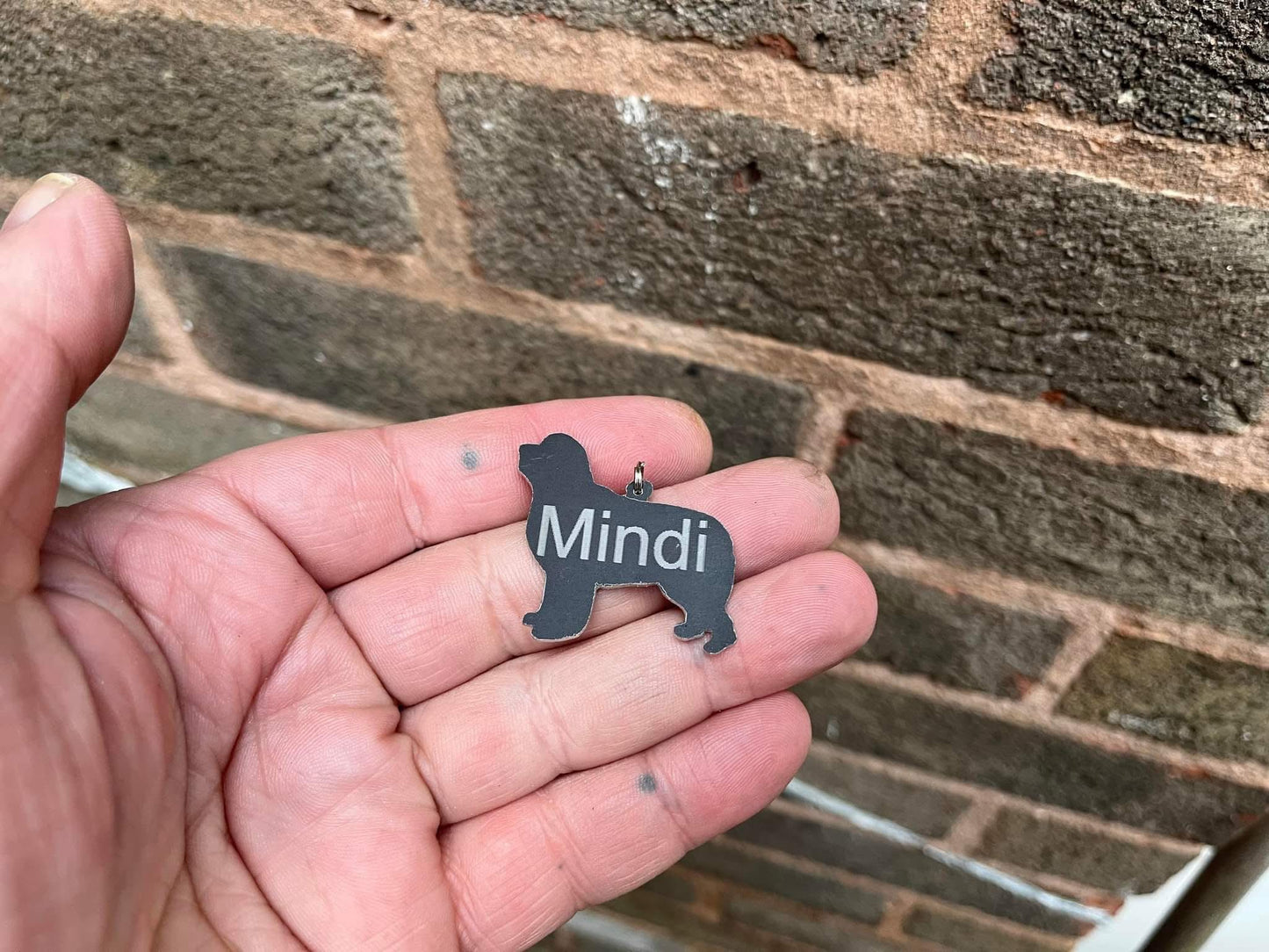 Newfoundland Dog Tag