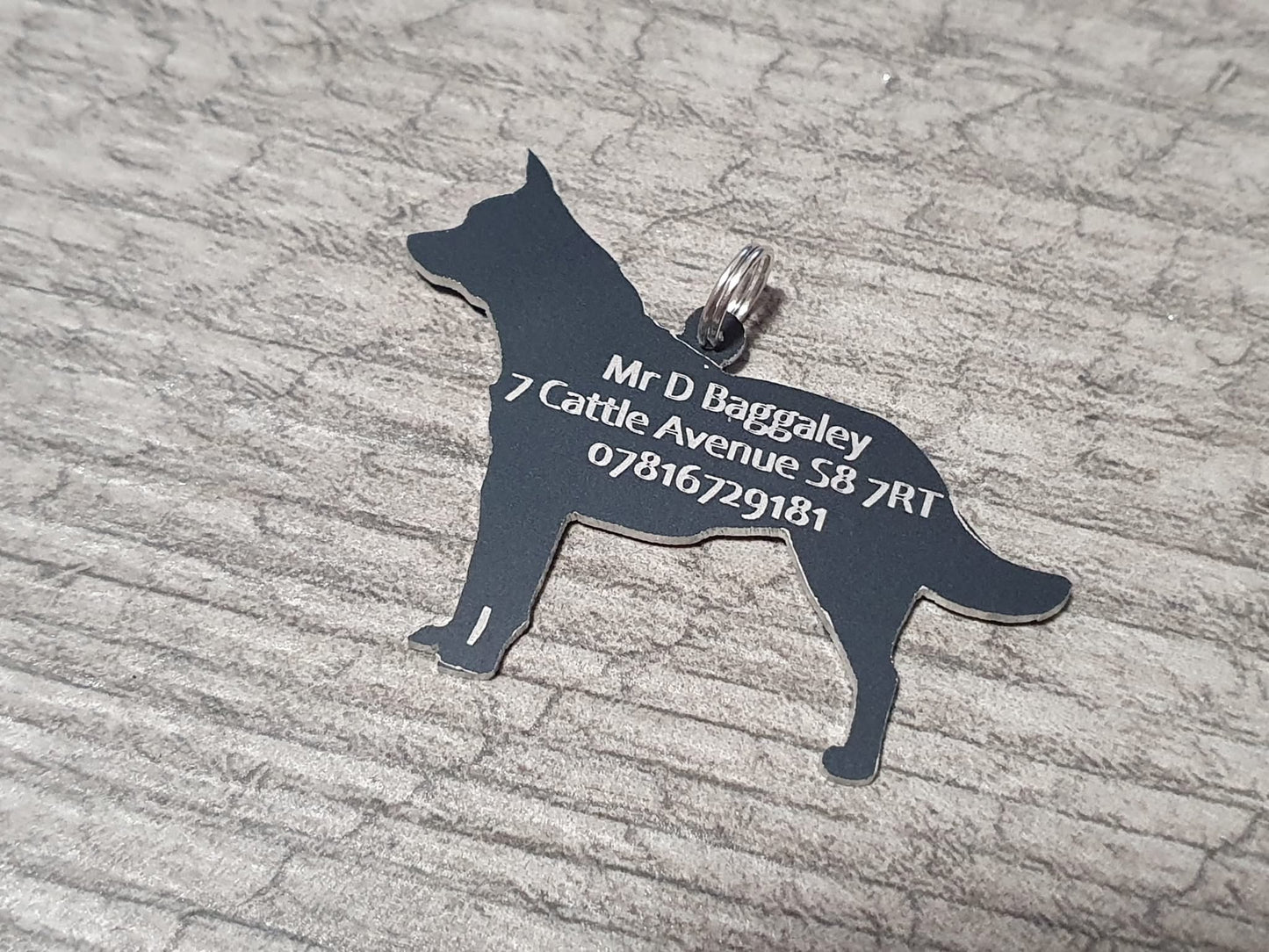 Australian cattle dog dog tag