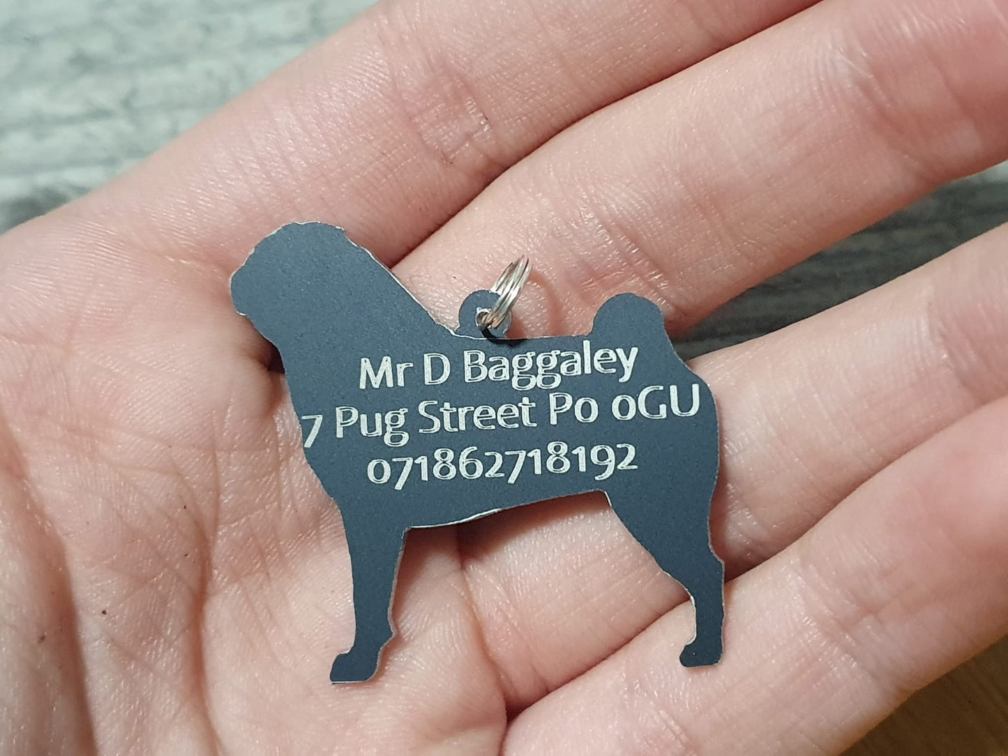 Pug dog tag
