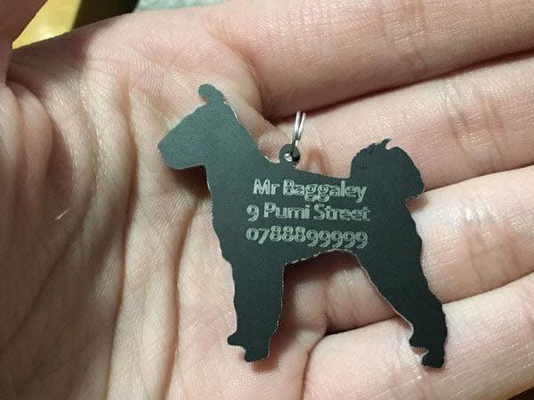 Pumi Dog Tag