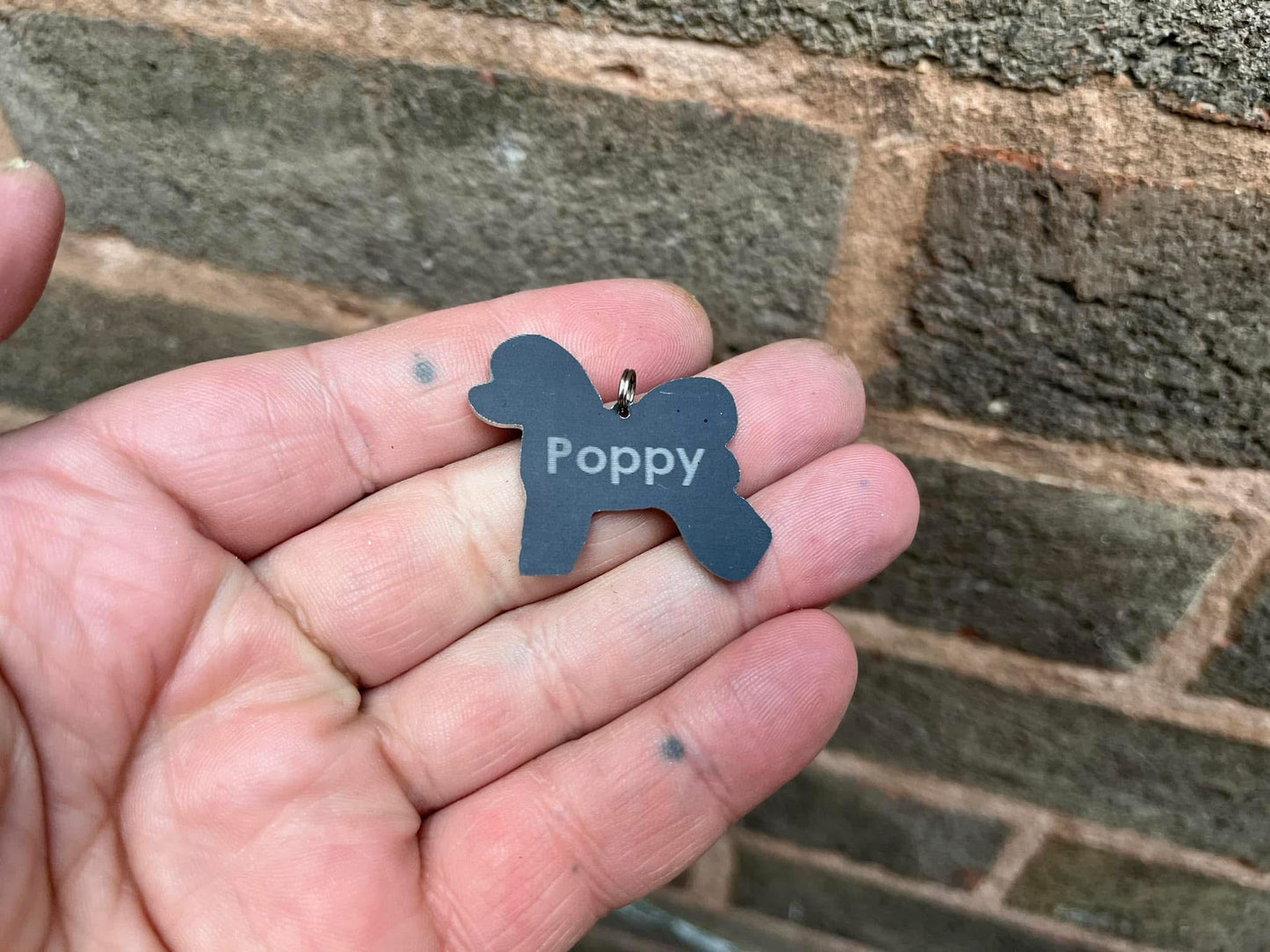 Bichon  Dog Tag