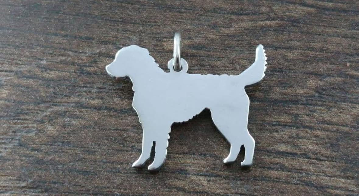 Labradoodle pendant sterling silver